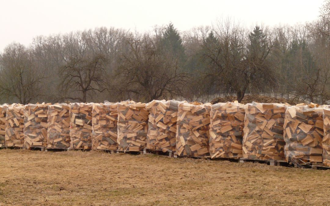 Czy będzie zakaz spalania drewna kawałkowego w UE?