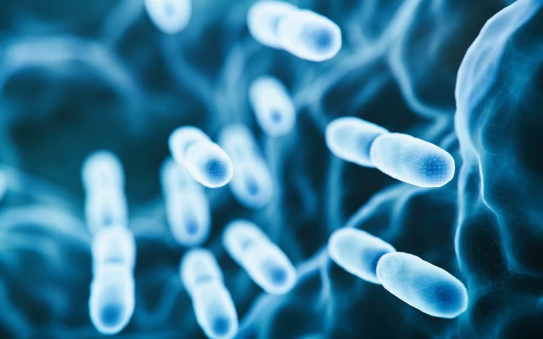 Bakteria Legionella - jak się przed nią obronić?